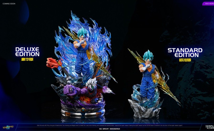 Pre-Order Temple STUDIO | 【Pre-Order】Temple Studio 1/6 Vegetto