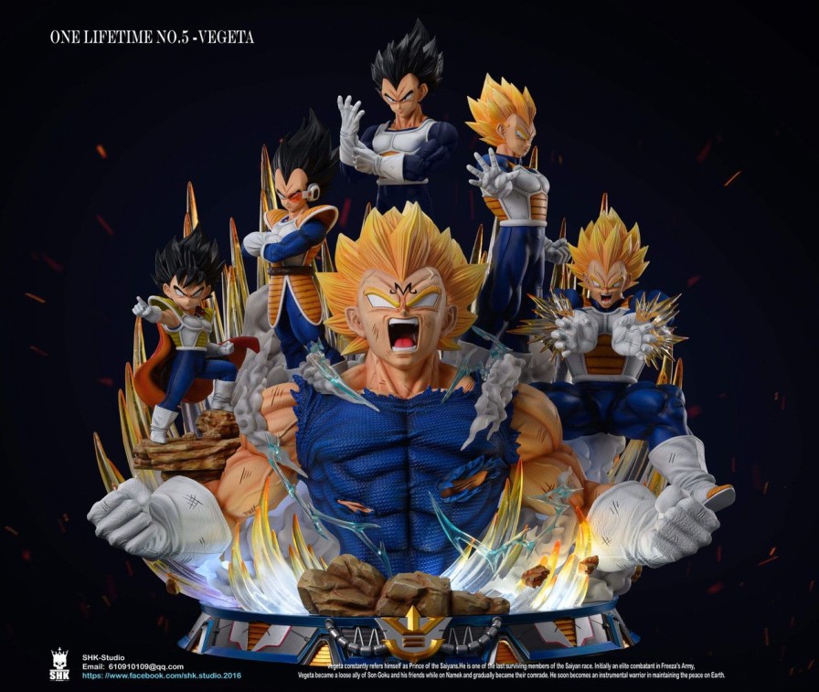 Dragonball SHK Studio | 【In-Stock】Shk Studio One Lifetime No.5 Vegeta