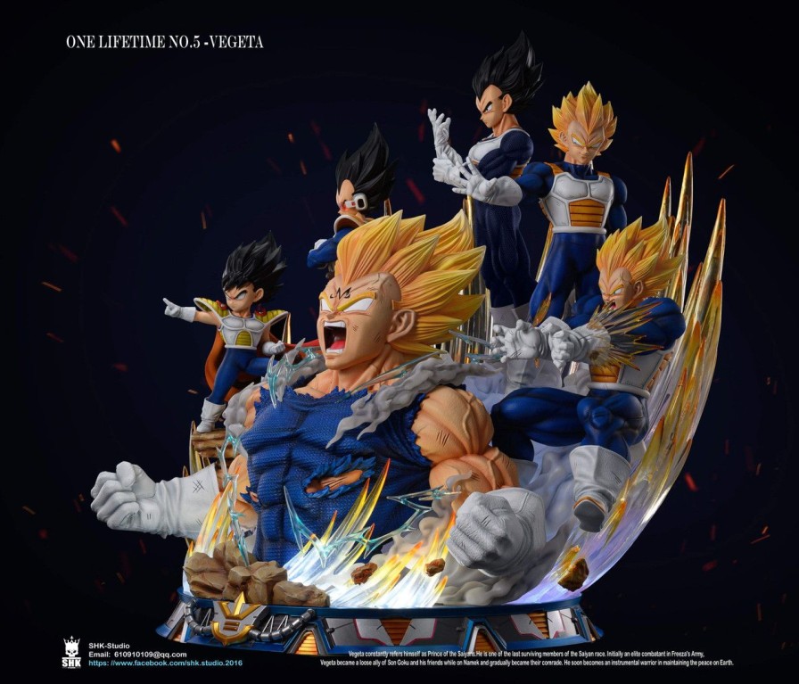 Dragonball SHK Studio | 【In-Stock】Shk Studio One Lifetime No.5 Vegeta